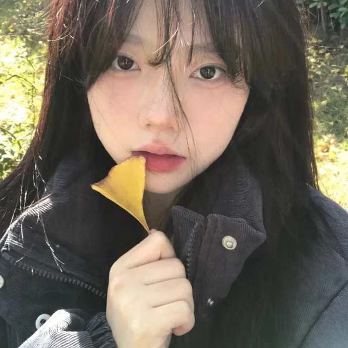 邻家兄弟